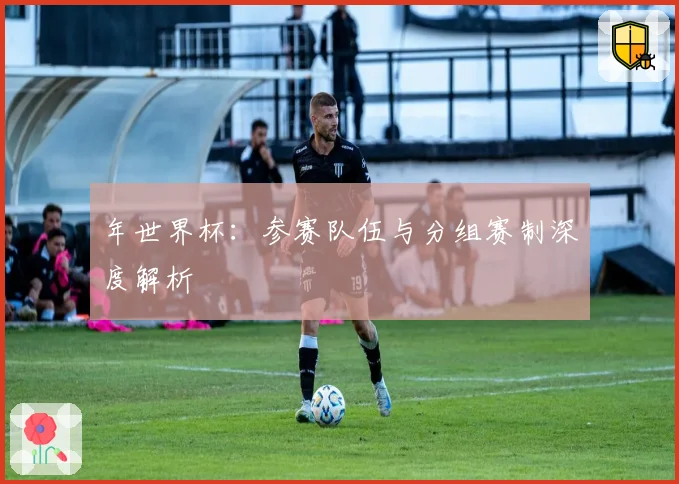 年世界杯：参赛队伍与分组赛制深度解析