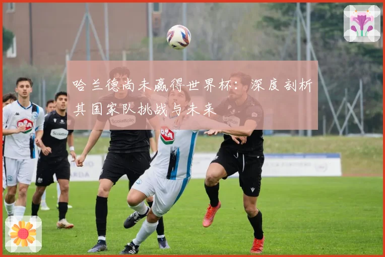 哈兰德尚未赢得世界杯：深度剖析其国家队挑战与未来