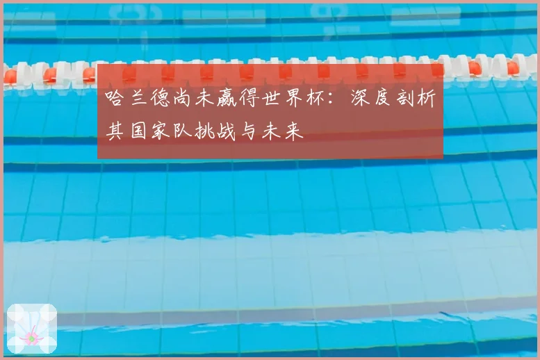 哈兰德尚未赢得世界杯：深度剖析其国家队挑战与未来