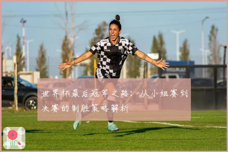 世界杯最后冠军之路：从小组赛到决赛的制胜策略解析