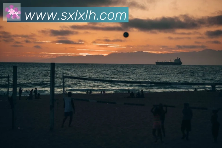 App Interface Preview