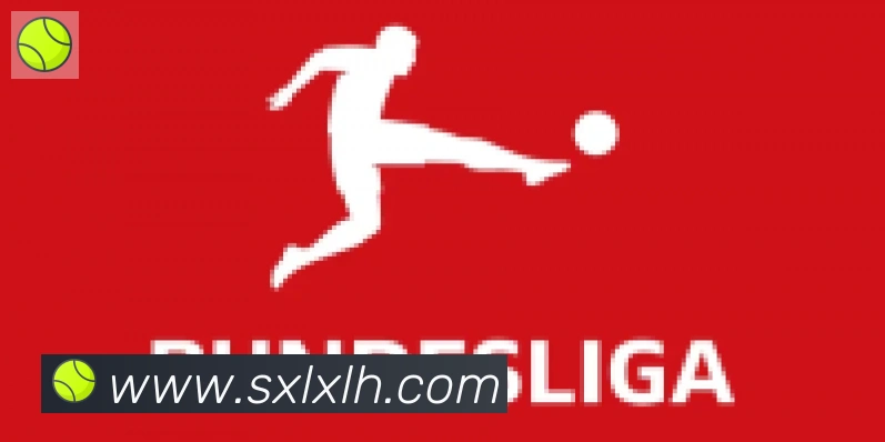 开云kaiyun官网合作伙伴