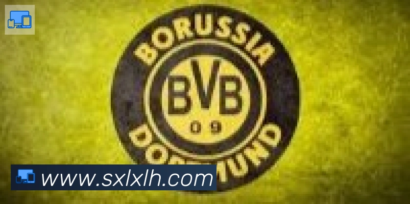 开云kaiyun官网合作伙伴